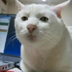 その神のジレンマに(1.5x speed)