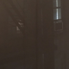 brand new [p elipropperr + tgwog + litothedon]