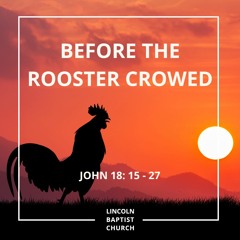John 18 v15-27 - Before the rooster crowed