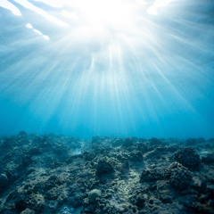 Follow The Current