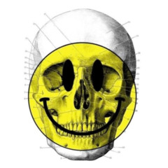 / 𝕕𝕒𝕥𝕒'𝕤 𝕤𝕡𝕖𝕔𝕥𝕒𝕔𝕦𝕝𝕒𝕣 𝕒𝕕𝕧𝕖𝕟𝕥𝕦𝕣𝕖 𝕓𝕖𝕪𝕠𝕟𝕕 𝕥𝕚𝕞𝕖 & 𝕤𝕡𝕒𝕔𝕖 /