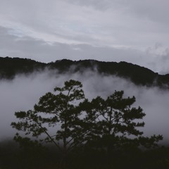 Dù Em Biết (Demo) by Taylor Eros