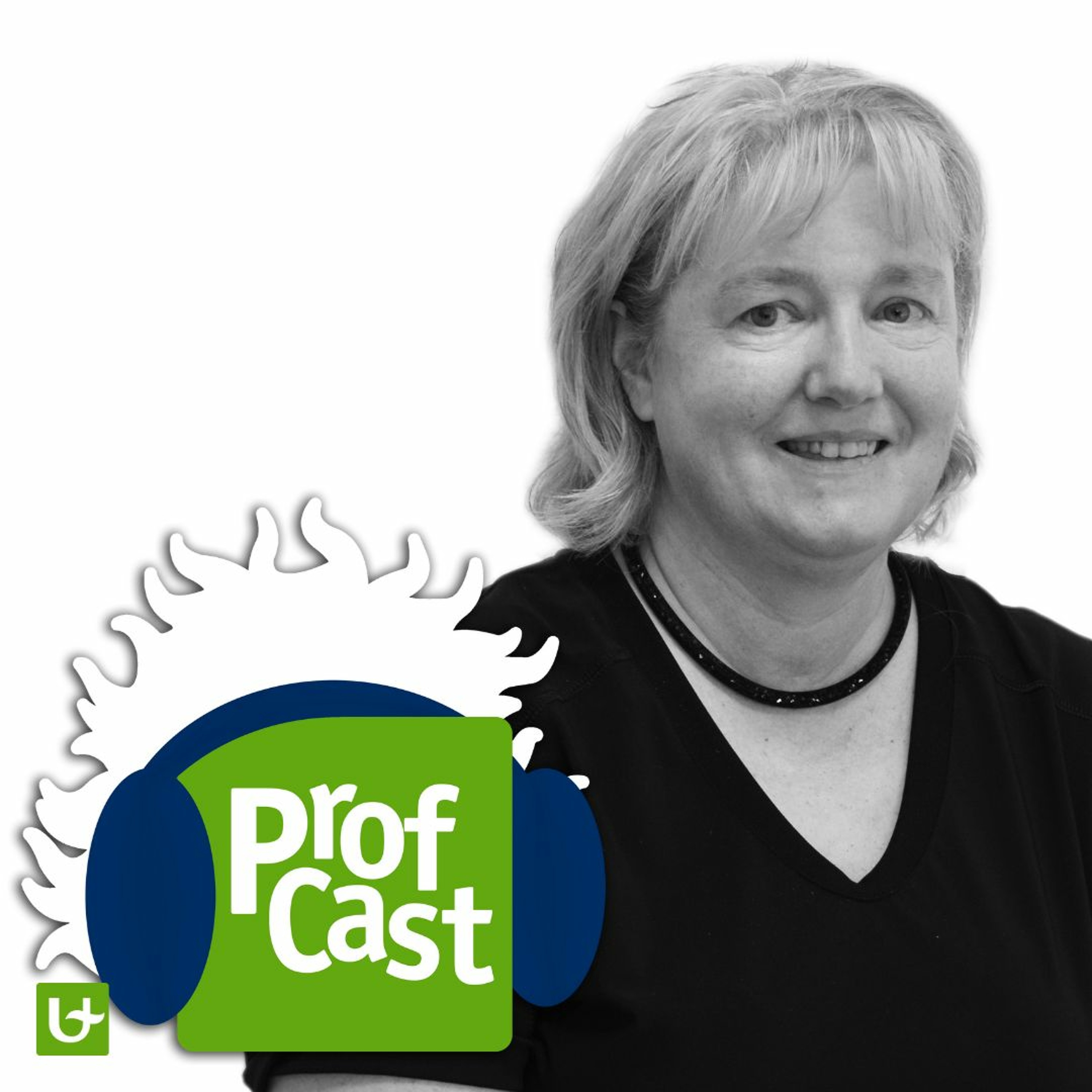 Profcast