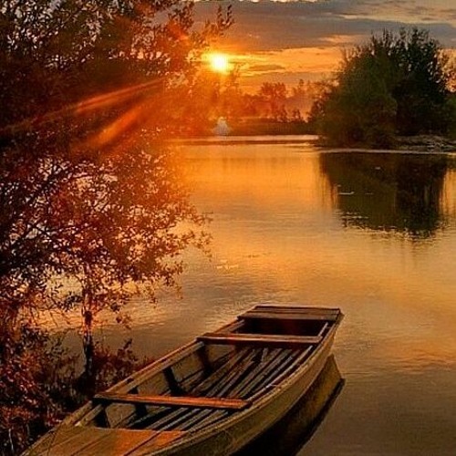 Stream Richard Is Finally In The Nuthouse by J.Rivas | Listen online ...