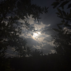 ادري جذب متحبني