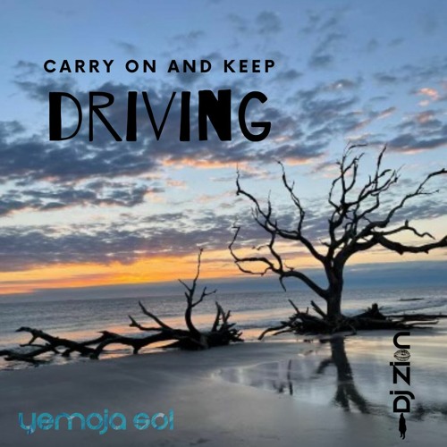 Carry On And Keep DRIVING 010