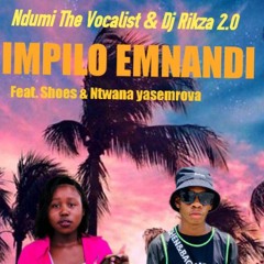 Dj_Rikza_Feat_Ndumi_the_vocalist,_Ntwana_yasemrova,Shoes-IMPILO_EMNANDI.mp3