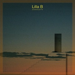 Hov1 - Lilla B (BABYBOY EDIT)