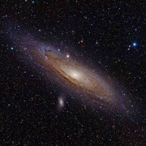 Astromeliahset At Gallowdance