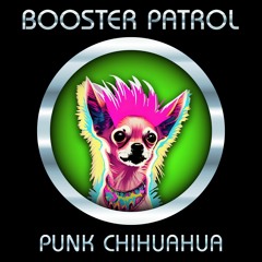 Punk Chihuahua