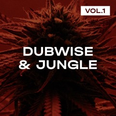 Dubwise & Jungle