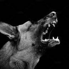 Daves House BeatzbyCoUnCiL