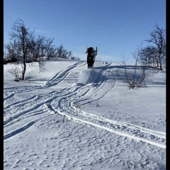 Fattar ingenting by juukaskungen och djgrodan