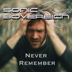 Never Remember - Sonic Sovereign