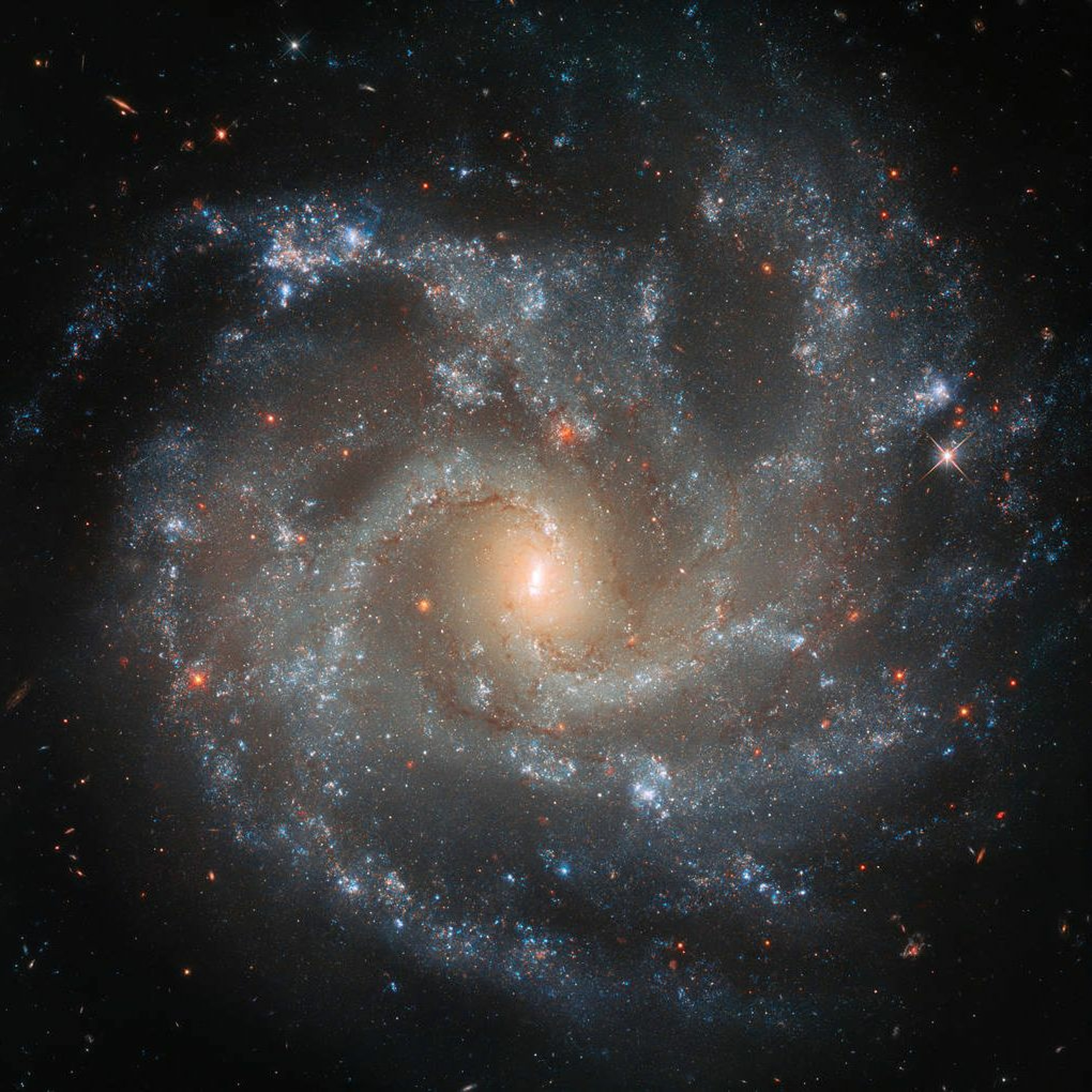 MERCYhouse University