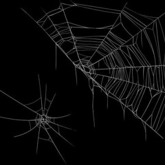 Tristofer Torres - HOMBRE ARAÑA