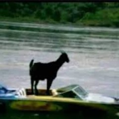 Untitled Playlist