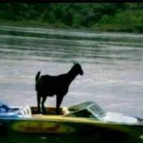 Special Set🦅Los Grandes🏛️Guerreros No Le Temen A La Muerte By Darwuin Jose B2B Tito El Cachorro🤠