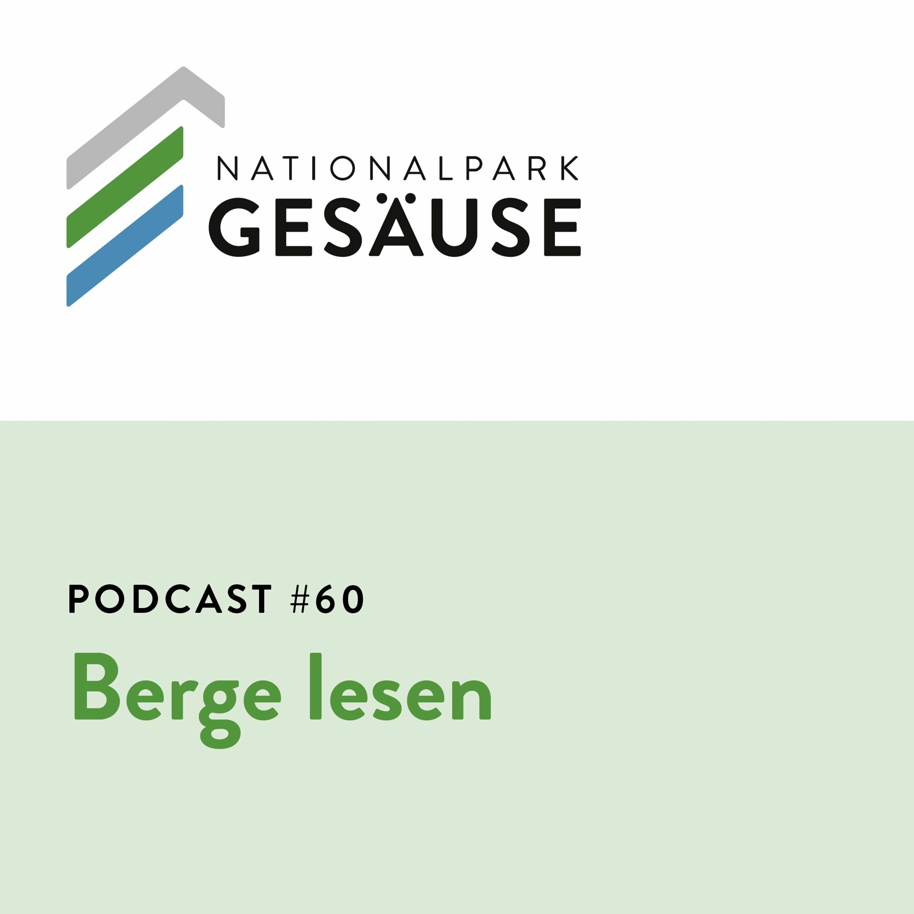Podcast #60 - Berge Lesen episode artwork