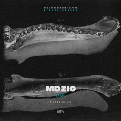 MDZIO @ Disorder #127 - Brazil