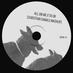 Ta Ok X All On Me (Christian Canale mashup)