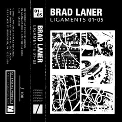 Ligaments 05b