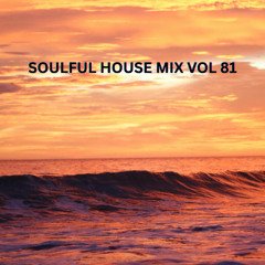 SOULFUL HOUSE MIX 81