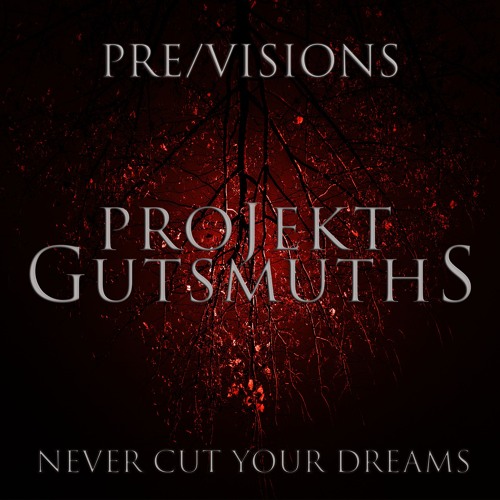 Never Cut Your Dreams (PreVersion)
