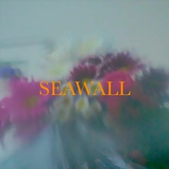 NEEV - SEAWALL (Northway Remix)