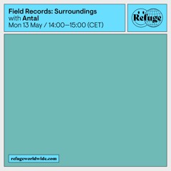 Field Records: Surroundings - Antal - 13 May 2024