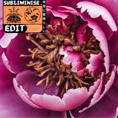 The People x Numb Numb Juice x Praise The Lord (subliminise edit)