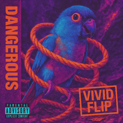 Dangerous - Busta Rhymes (VIVID FEVER DREAMS FLIP)
