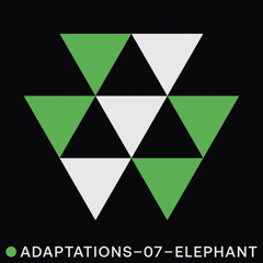 Three Little Birds (Bob Marley & The Wailers)