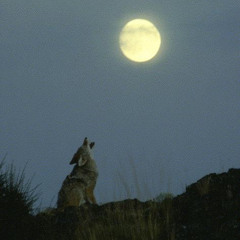 i promised you i promised you and i mindlessly sliced my innocence away