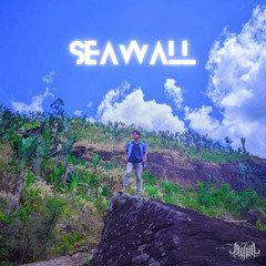 NEEV - SEAWALL[SHESAID REMIX]