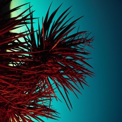 Matignon [CHAOS WORK #001]