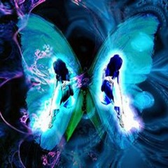 Butterfly Effect