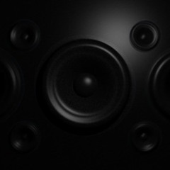 WE LIKE THE BASS