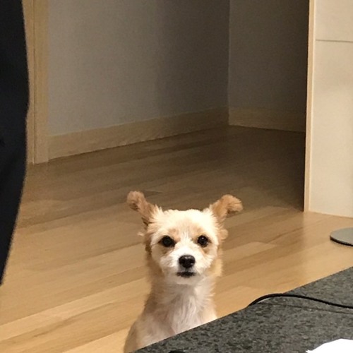 나랑 아니면