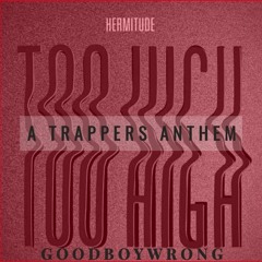 Hermitude x GoodBoyWrong #TooHigh - A Trappers Anthem
