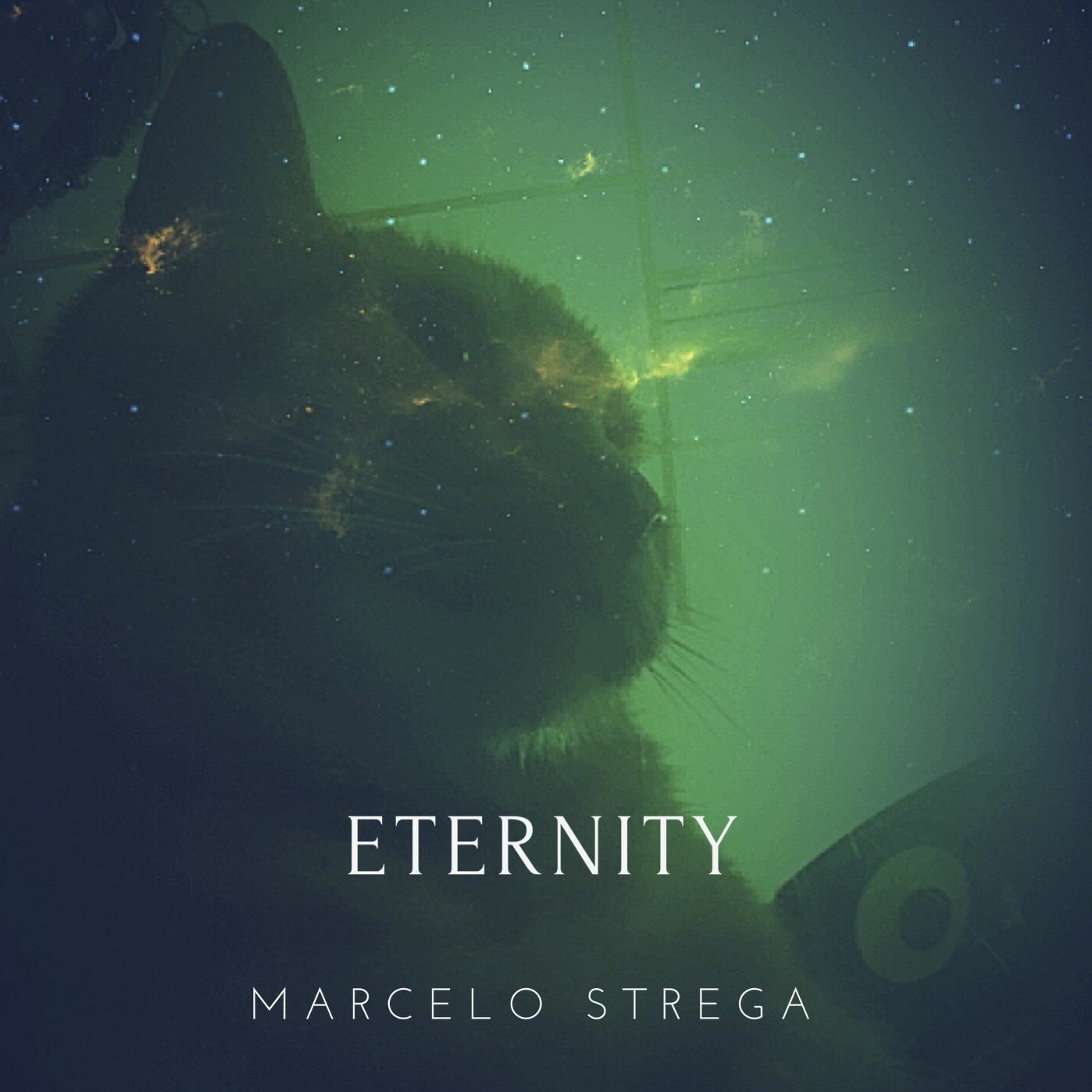 Marcelo Strega