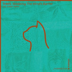 THMS - Breaking The Mind's Barrier (E A N P Remix) [PURRFECTION]