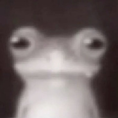 Roll (son troll) ft.€cLp,Dougy