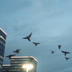 Free The Stars W/Meijin