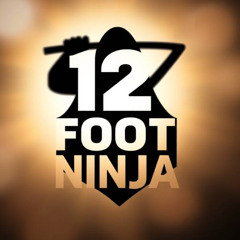 Twelve Foot Ninja - Collateral Cover