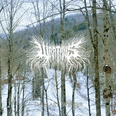 adventure keys v8 bass (sea of ghosts 1-3)