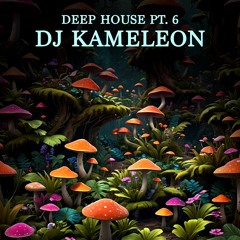 Dj Kameleon - Deep House Pt. 6