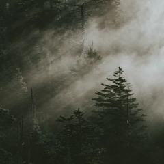 Ldre Lofi Collab Contest