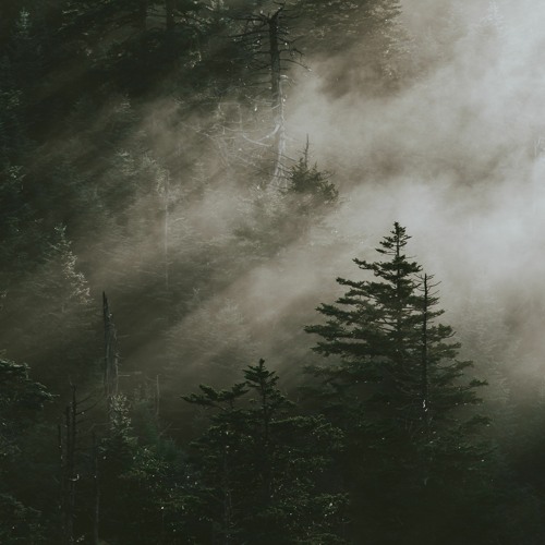 Ldre Lofi Collab Contest