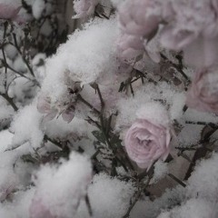 прикольные песни :#